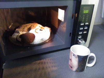 Microwave occupied